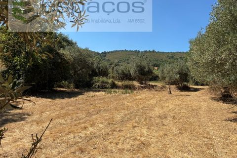Terra a Fundao, Castelo Branco, Fundao - € 13.000 | Ref: 5841/CP - foto 9