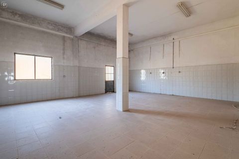 Erhvervsejendom i Silves, Faro, Silves - € 1.200.000 | Ref: SV2436 - foto 14