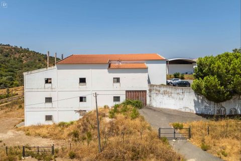 Erhvervsejendom i Silves, Faro, Silves - € 1.200.000 | Ref: SV2436 - foto 26
