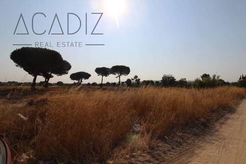 Helårsgrund i Setubal, Setubal, Setubal - € 295.000 | Ref: 01QT0037 - foto 4