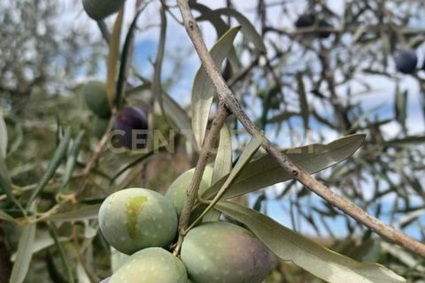 Erhvervsejendom i Belpasso, Catania, Belpasso - € 40.000 | Ref: 01-013 - foto 9