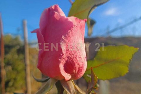 Erhvervsejendom i Belpasso, Catania, Belpasso - € 40.000 | Ref: 01-013 - foto 12
