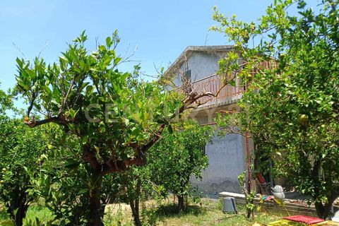 Erhvervsejendom i Belpasso, Catania, Belpasso - € 40.000 | Ref: 01-013 - foto 14