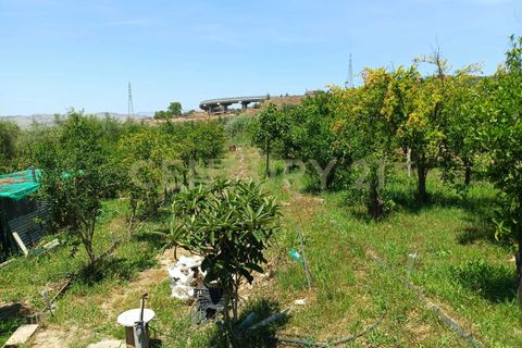 Erhvervsejendom i Belpasso, Catania, Belpasso - € 40.000 | Ref: 01-013 - foto 21