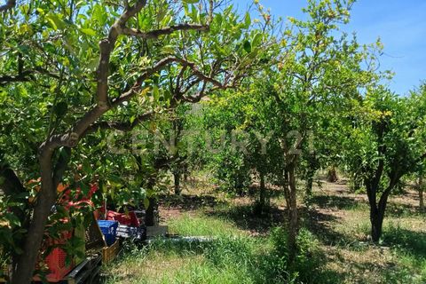 Erhvervsejendom i Belpasso, Catania, Belpasso - € 40.000 | Ref: 01-013 - foto 24