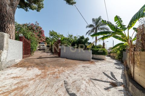 Villa i Riposto, Catania, Riposto - € 870.000 | Ref: 013-018 - foto 2