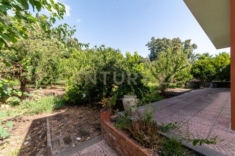 Villa i Riposto, Catania, Riposto - € 870.000 | Ref: 013-018 - foto 7
