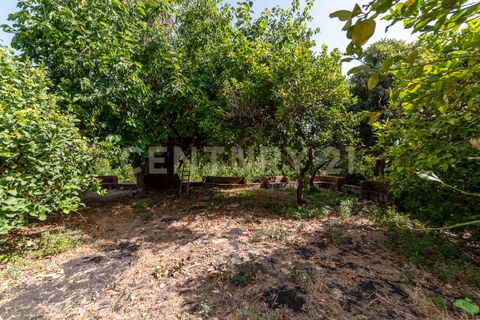 Villa i Riposto, Catania, Riposto - € 870.000 | Ref: 013-018 - foto 13