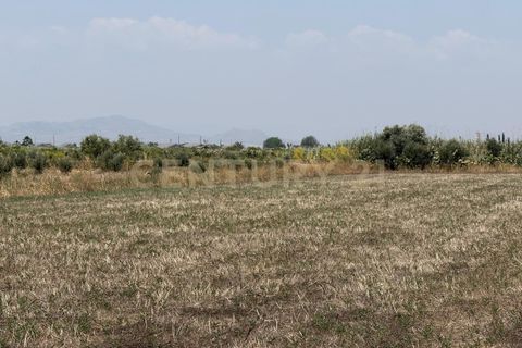 Erhvervsejendom i Lentini, Siracusa, Lentini - € 22.500 | Ref: 014-002 - foto 2