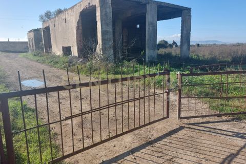 Erhvervsejendom i Lentini, Siracusa, Lentini - € 22.500 | Ref: 014-002 - foto 3