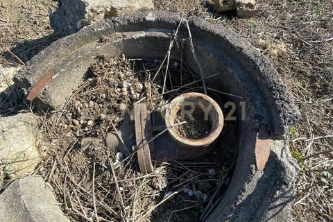 Erhvervsejendom i Lentini, Siracusa, Lentini - € 22.500 | Ref: 014-002 - foto 4