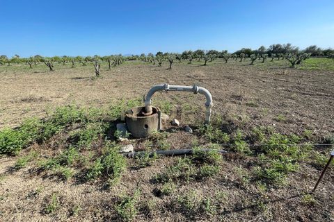 Erhvervsejendom i Lentini, Siracusa, Lentini - € 22.500 | Ref: 014-002 - foto 5