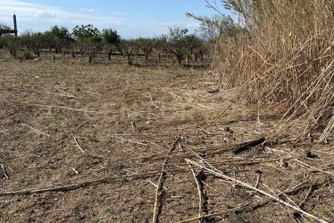 Erhvervsejendom i Lentini, Siracusa, Lentini - € 22.500 | Ref: 014-002 - foto 6