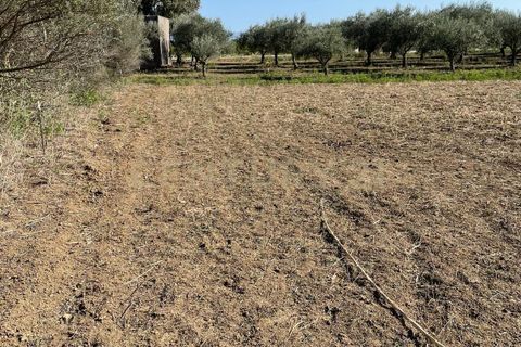 Erhvervsejendom i Lentini, Siracusa, Lentini - € 22.500 | Ref: 014-002 - foto 7