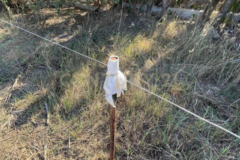 Erhvervsejendom i Lentini, Siracusa, Lentini - € 22.500 | Ref: 014-002 - foto 9