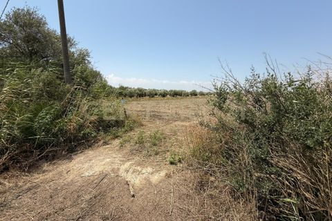 Erhvervsejendom i Lentini, Siracusa, Lentini - € 22.500 | Ref: 014-002 - foto 10