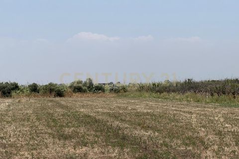 Erhvervsejendom i Lentini, Siracusa, Lentini - € 22.500 | Ref: 014-002 - foto 12