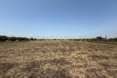 Erhvervsejendom i Lentini, Siracusa, Lentini - € 22.500 | Ref: 014-002 - foto 13