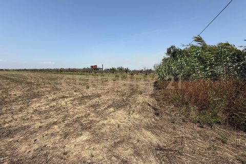 Erhvervsejendom i Lentini, Siracusa, Lentini - € 22.500 | Ref: 014-002 - foto 14