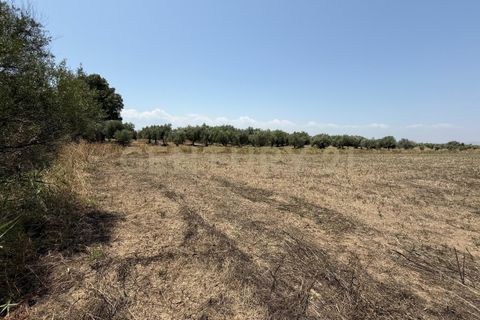 Erhvervsejendom i Lentini, Siracusa, Lentini - € 22.500 | Ref: 014-002 - foto 16