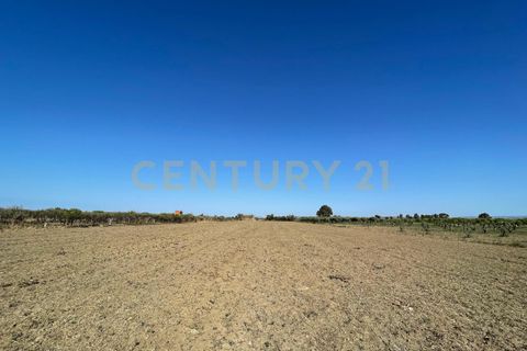Erhvervsejendom i Lentini, Siracusa, Lentini - € 22.500 | Ref: 014-002 - foto 15