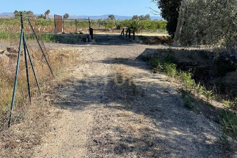 Erhvervsejendom i Lentini, Siracusa, Lentini - € 22.500 | Ref: 014-002 - foto 18