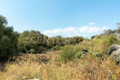 Terra a Belpasso, Catania, Belpasso - € 219.000 | Ref: 012-005 - foto 2