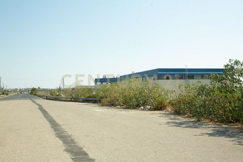 Terra a Belpasso, Catania, Belpasso - € 219.000 | Ref: 012-005 - foto 9