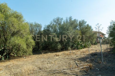 Terra a Belpasso, Catania, Belpasso - € 219.000 | Ref: 012-005 - foto 11