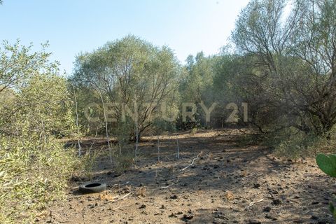 Terra a Belpasso, Catania, Belpasso - € 219.000 | Ref: 012-005 - foto 16