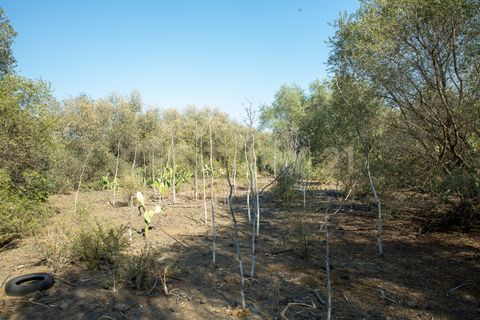 Terra a Belpasso, Catania, Belpasso - € 219.000 | Ref: 012-005 - foto 17