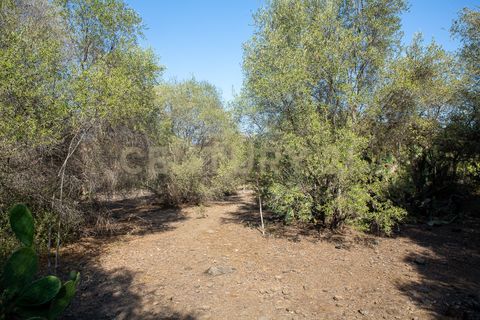 Terra a Belpasso, Catania, Belpasso - € 219.000 | Ref: 012-005 - foto 18