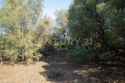 Terra a Belpasso, Catania, Belpasso - € 219.000 | Ref: 012-005 - foto 19