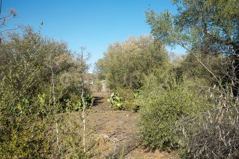 Terra a Belpasso, Catania, Belpasso - € 219.000 | Ref: 012-005 - foto 21
