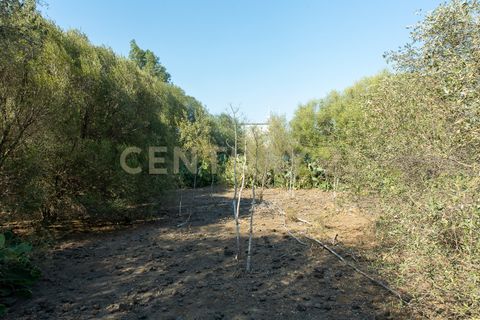 Terra a Belpasso, Catania, Belpasso - € 219.000 | Ref: 012-005 - foto 22