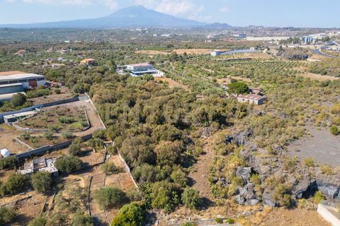 Terra a Belpasso, Catania, Belpasso - € 219.000 | Ref: 012-005 - foto 28