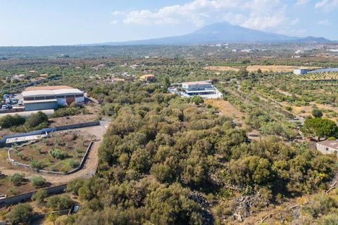 Terra a Belpasso, Catania, Belpasso - € 219.000 | Ref: 012-005 - foto 29