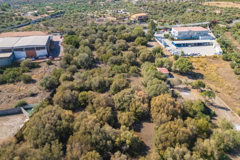 Terra a Belpasso, Catania, Belpasso - € 219.000 | Ref: 012-005 - foto 30