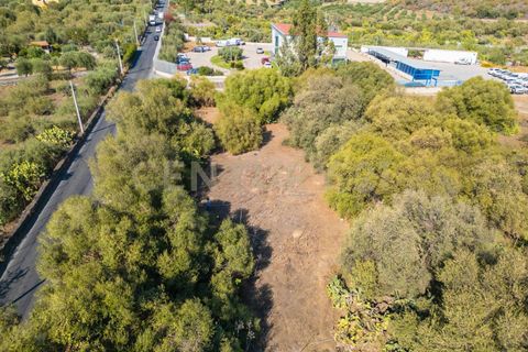 Terra a Belpasso, Catania, Belpasso - € 219.000 | Ref: 012-005 - foto 35