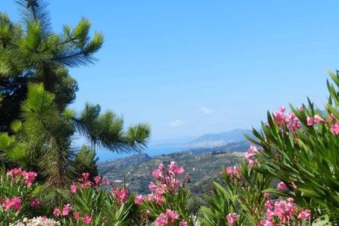 Villa i Seborga, Imperia, Seborga - € 699.000 | Ref: 283216 - foto 43