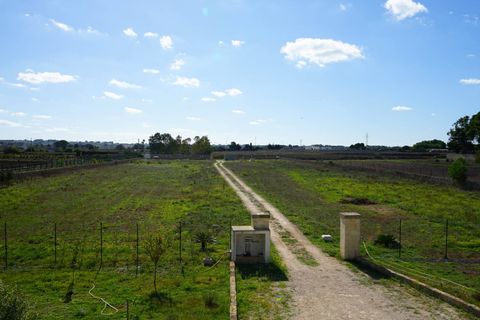 Villa a Poggiardo, Lecce, Poggiardo - € 253.000 | Ref: 6 - foto 24