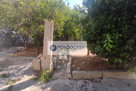 Villa a Nociglia, Lecce, Nociglia - € 290.000 | Ref: 10 - foto 32