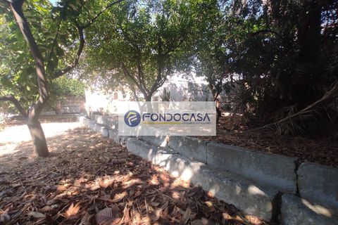 Villa a Nociglia, Lecce, Nociglia - € 290.000 | Ref: 10 - foto 34