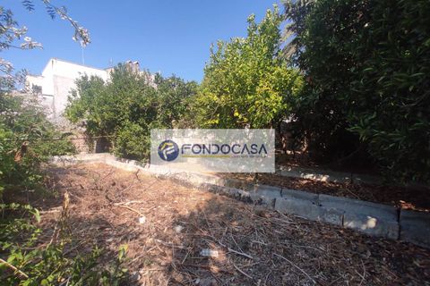 Villa a Nociglia, Lecce, Nociglia - € 290.000 | Ref: 10 - foto 36