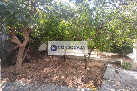 Villa a Nociglia, Lecce, Nociglia - € 290.000 | Ref: 10 - foto 37