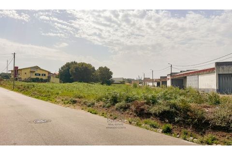 Terra a Silvalde, Aveiro, Silvalde - € 230.000 | Ref: SÒL_55.Mi.001 - foto 4