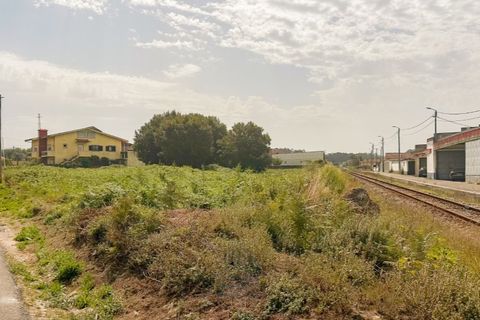 Terra a Silvalde, Aveiro, Silvalde - € 230.000 | Ref: SÒL_55.Mi.001 - foto 6