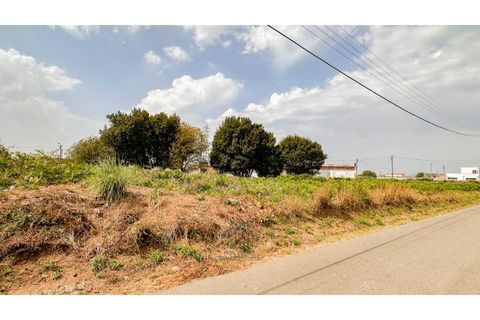 Terra a Silvalde, Aveiro, Silvalde - € 230.000 | Ref: SÒL_55.Mi.001 - foto 5