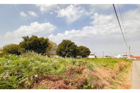 Terra a Silvalde, Aveiro, Silvalde - € 230.000 | Ref: SÒL_55.Mi.001 - foto 7