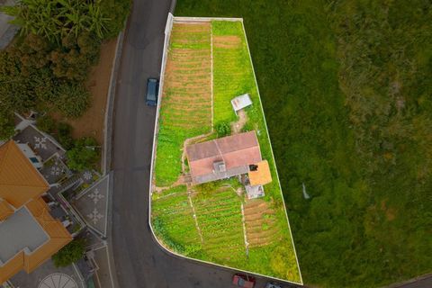 Villa i Ponta do Sol, Madeira, Ponta do Sol - € 220.000 | Ref: C0216-03171 - foto 12